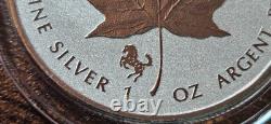 1 Oz Silver Coin Maple Leaf Reverse Proof Exquisite Horse Privy Canadian 2014