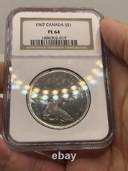 1967 Canada Silver Dollar NGC PL64 Proof Like Colorful Toned Goose! Rainbow