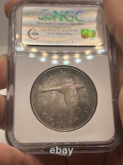 1967 Canada Silver Dollar NGC PL64 Proof Like Colorful Toned Goose! Rainbow