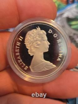 1982 Canada Proof Silver Dollar Regina Centennial Bison Skull Beauty