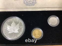1989 Comm. Maple Leaf Issue 3 Coin Proof Set Gold, Silver & Platinum A79.325