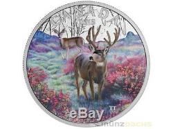20 $ Dollar Misty Morning Mule Kanada Canada 2015 PP 1 oz Silber silver Proof