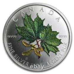 2002 Canada Reverse Proof Spring Maple Leaf Coin 1oz. 9999 Silver 50K Minted