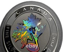 2003 Canada $5 Good Fortune Silver 1oz Maple Leaf Coin Beautiful Hologram