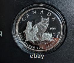 2005 Canadian Royal Mint Canadian Lynx Silver Coin Set