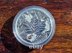 2013 Canada 1oz. 9999 Silver Piedfort Maple Leaf HR 25th Anniv Proof RCM