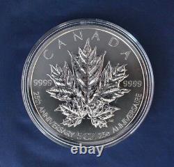 2013 Canada 5oz Silver Proof $50 coin Maple Leaves in Case with COA