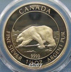 2013 Canada $8 Polar Bear 1 1/2 oz Proof Silver PCGS PR70DCAM FDOI Blunt (1.5)