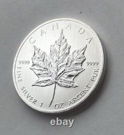 2013 Canada Silver $5 One Ounce Coin Reverse Proof Style (1660)