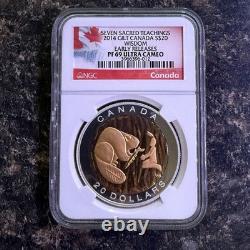 2014 CANADA $20 WISDOM BEAVER GILT PF 69 ULTRA EARLY RELEASE 1 oz. 9999 Silver 2014 CANADA $20 WISDOM BEAVER GILT PF 69 ULTRA EARLY RELEASE 1 oz. 9999 Silver
