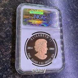 2014 CANADA $20 WISDOM BEAVER GILT PF 69 ULTRA EARLY RELEASE 1 oz. 9999 Silver
