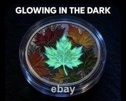 2014 Canada $20 Maple Leaves Glow-in-the-Dark 1 oz. Silver Proof 2930 of 7500