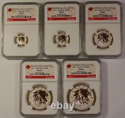 2014 Canada 5 Coin Silver Gilt Maple Leaf Proof Coin Set NGC-PF69