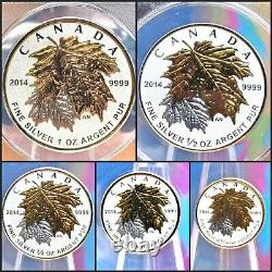 2014 Canada 5-Coin Silver Reverse Proof Maple Leaf Gold Gild Set ANACS RP70 DCAM