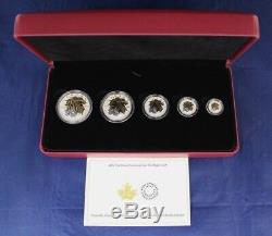 2014 Canada Silver Proof 5 coin set The Maple Leaf in Case with COA (H8/124)