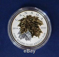 2014 Canada Silver Proof 5 coin set The Maple Leaf in Case with COA (H8/124)