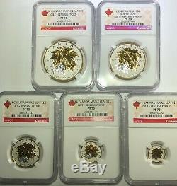 2014 Ngc Pf70 Canada Gilt Reverse Proof Silver Maple Leaf 5 Coin Fractional Set