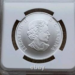 2015 CANADA 1/2 oz SILVER $50 BEAVER NGC PF 69 MATTE NICE COIN / SLAB