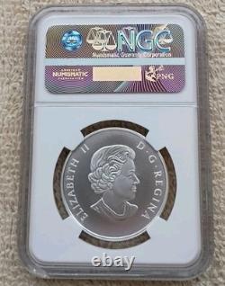 2015 CANADA 1/2 oz SILVER $50 BEAVER NGC PF 69 MATTE NICE COIN / SLAB