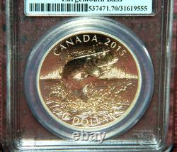 2015 Canada $20 North American Sportfish Largemouth Bass Pcgs Pr70 Dcam Fs +ogp