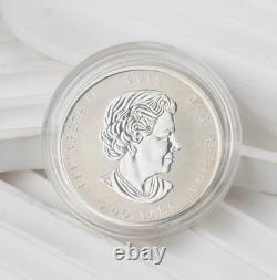 2015 Canada Silver Maple Leaf $5 1 Oz Silver Reverse Proof E=MC2 Privy 1501B