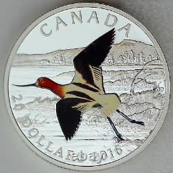 2016 $20 Colorful Birds of Canada American Avocet. 9999 Pure Silver Color Proof