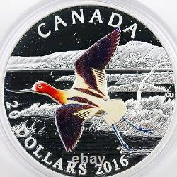 2016 $20 Colorful Birds of Canada American Avocet. 9999 Pure Silver Color Proof