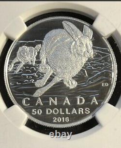2016 $50 CANADA SILVER NGC PF70 PROOF MATTE HARE With Hardwood Display Case! ÈR