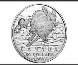 2016 $50 Canada Silver Ngc Pf70 Proof Matte Hare Rabbit First Releases