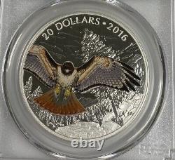 2016 Canada $20 1 oz Red Tailed Hawk Colorized Proof Silver Coin PCGS PR70 UCAM