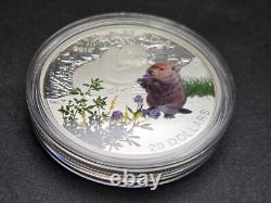 2016 Canada $20 Baby Animals 1oz Silver 4 Coin Set With Wooden Case-No COAs