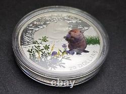 2016 Canada $20 Baby Animals 1oz Silver 4 Coin Set With Wooden Case-No COAs