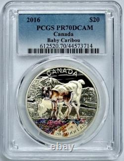 2016 Canada $20 Caribou Colorized Baby Animals Collection PCGS PR70 Deep Cameo