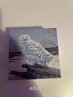 2016 Canada $20 Fine Silver Coin Snowy Owl RB