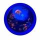 2016 Canada $30 Illuminated Underwater Reef 2 oz. 9999 Silver Coin UV Light