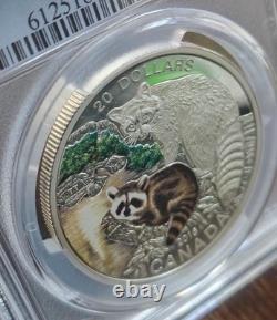 2016 Canada NGC PR69 DCAM $20 Fine 1oz Silver Coin Baby Animals Raccoon