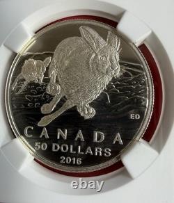 2016 Canada S$50 Hare First Releases PF 70 Matte NGC Graded