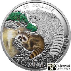 2016'Raccoon Baby Animals' Colorized Proof $20 Silver Coin 1oz. 9999(17590)NT