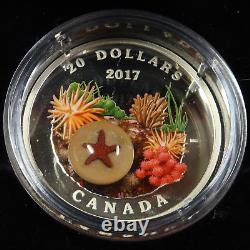 2017 CANADA Under The Sea Sea Star 1 oz Silver $20 with Box & COA #44121Q