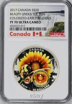 2017 Canada $20 1 oz Beauty Under the Sun, 3D Proof Silver Coin NGC PF70 UC ER