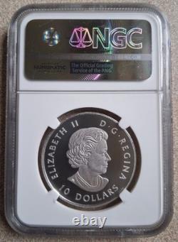 2017 Canada Ngc First Releases Pf70 Matte Silver Grizzly Bear S$10