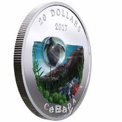 2017 Canada Under Sea Sea Turtle 1 oz Silver Colorized Proof $20 OGP SKU49122