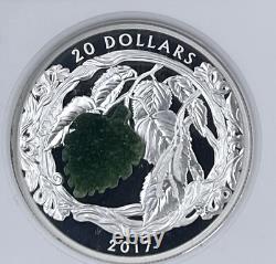 2017 NGC PF70 Ultra Cameo Canada S$20 Birch Leaves Drusy Stone
