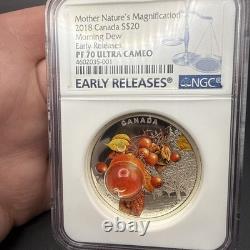 2018 Canada $20 Silver Nature's Magnification Morning Dew NGC PF70 Ultra Cameo