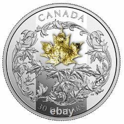 2018 Canada $30 Golden maple leaf coin 99.99% silver proof finish w gold leaf