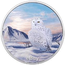 2018 Canada Arctic Animals Northern Lights Snowy Owl 2 oz Silver Glow SKU53479