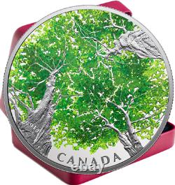 2018 Maple Leaf Canopy CanadiANA $30 2OZ Pure Silver 50mm Proof Coin Canada