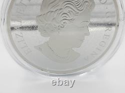 2019 10 oz. Fine Silver Canadian Maples $100 Proof Coin. 9999 Low Mintage 500