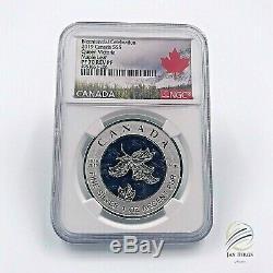 2019 $5 Canada 1oz Ngc Pf70 Silver Maple Leaf Victoria Blue Rhodium Rev Proof Fr
