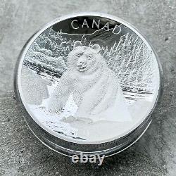 2019 Canada 10 oz. 9999 Fine Silver Coin $100 Double Concave Piedfort Brown Bear